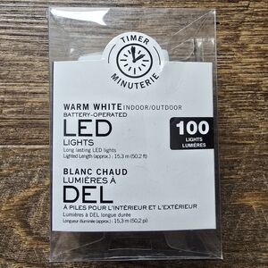 Warm White LED String Lights 50ft - 100 Micro Dot Lights - Indoor/Outdoor